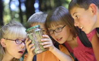 Camp kids and bug
